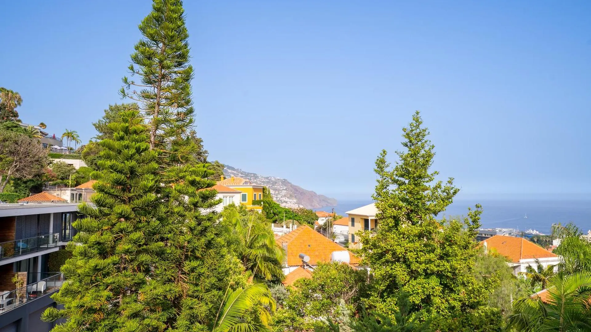 Las Rosas Vista Baia Do Funchal Διαμέρισμα